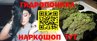 первитин Заводоуковск