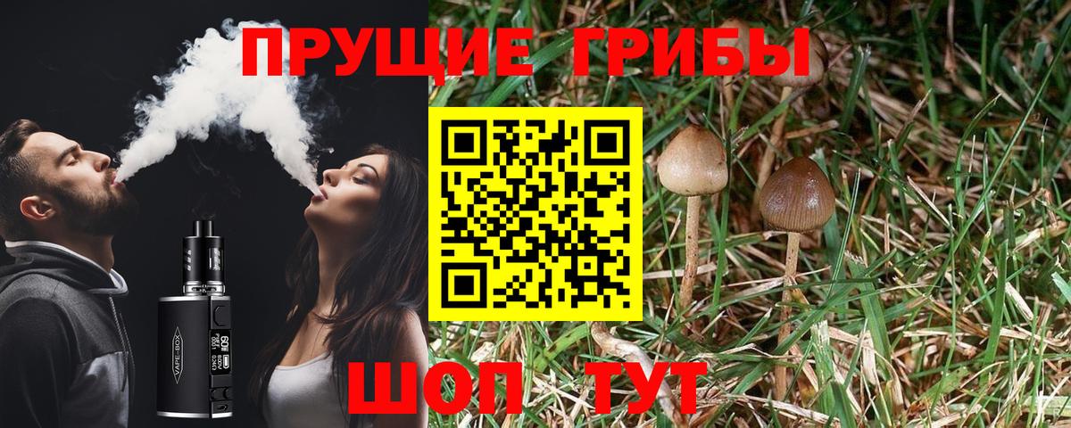 Псилоцибиновые грибы Magic Shrooms Моздок