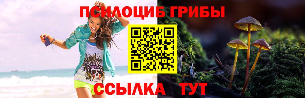 Галлюциногенные грибы прущие грибы  Вход с VPN  как найти наркотики  Моздок 