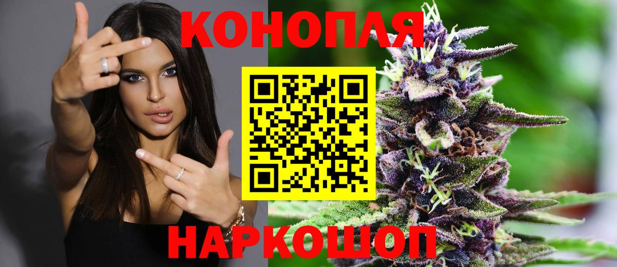 Конопля семена Моздок